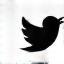 Twitter X icon
